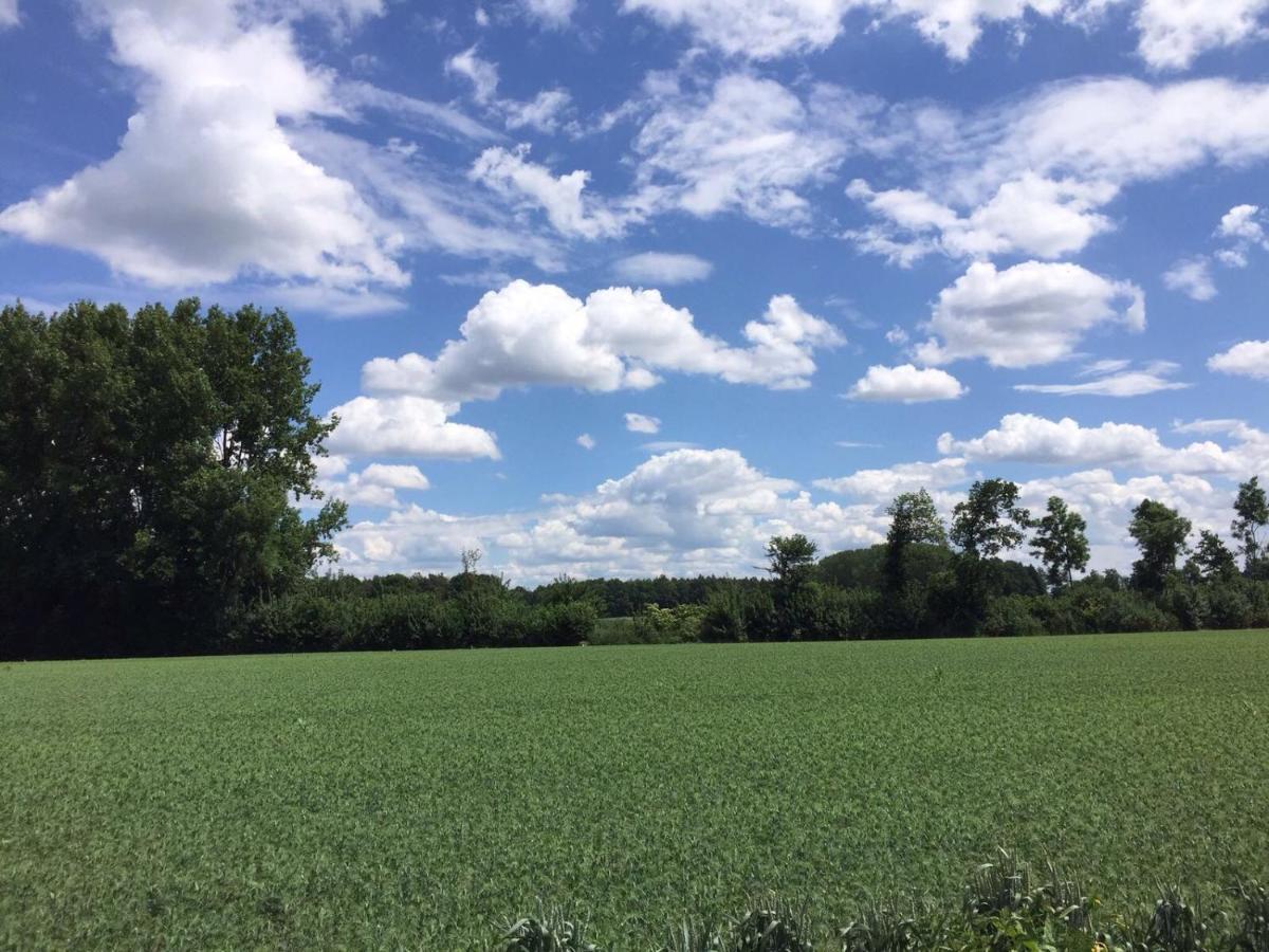 Hoeve Delshorst Heibloem Exteriör bild