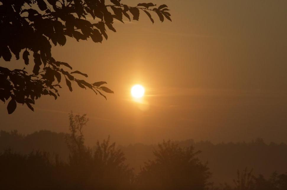 Hoeve Delshorst Heibloem Exteriör bild